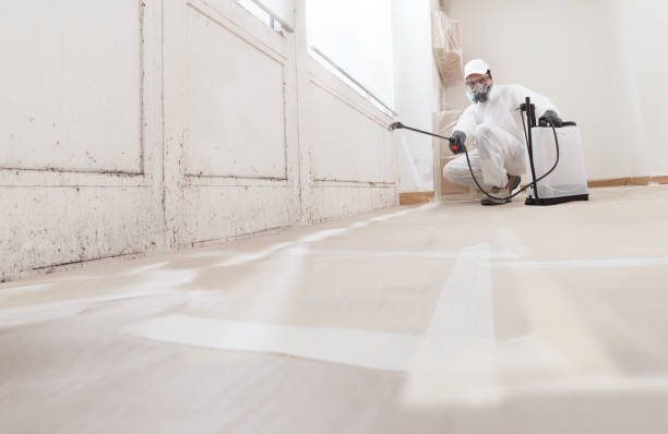 24/7 Emergency Basement Mold Removal experts in Lumberton, NC